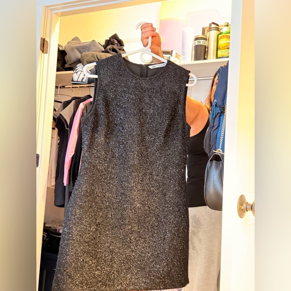 Zara Sparkly Mini Dress